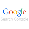 Google Search Audit
